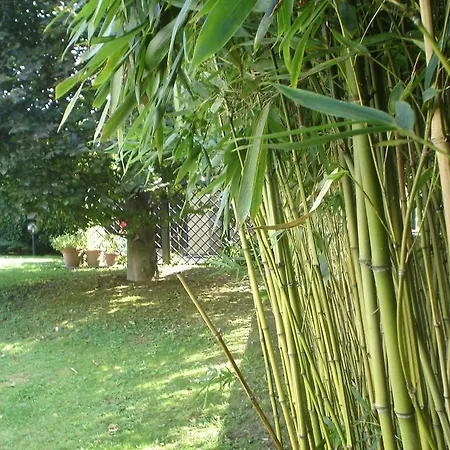 Maison D'este *