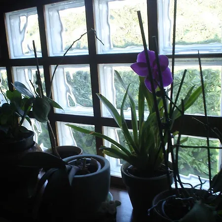 Maison D'este Panzió *